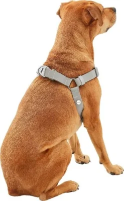 Frisco Outdoor Solid Textured Waterproof Stink Proof PVC Harness, Storm Gray, Medium, Neck: 16 to 22-in, Girth: 19 to 29-in + Dog Leash, Storm Gray, Medium - Length: 6-ft, Width: 3/4-in -FRISCO Sales 319366 PT3. SY630 V1631141783