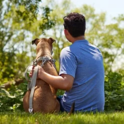 Frisco Outdoor Solid Textured Waterproof Stink Proof PVC Harness, Storm Gray, Medium, Neck: 16 to 22-in, Girth: 19 to 29-in + Dog Leash, Storm Gray, Medium - Length: 6-ft, Width: 3/4-in -FRISCO Sales 319366 PT8. SY630 V1631150480