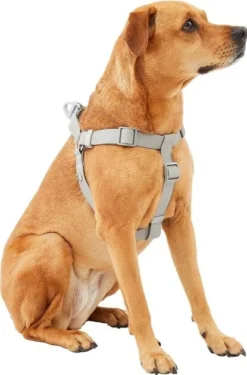 Frisco Outdoor Solid Textured Waterproof Stink Proof PVC Harness, Storm Gray, Small, Neck: 14 to 19-in, Girth: 16 to 23-in + Dog Leash, Storm Gray, Small - Length: 6-ft, Width: 5/8-in -FRISCO Sales 319368 PT2. SY630 V1631155880