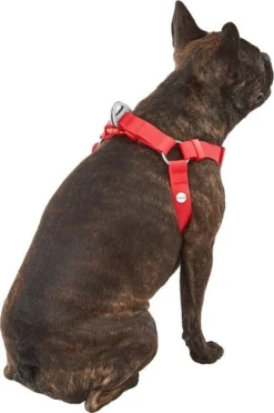 Frisco Outdoor Solid Textured Waterproof Stink Proof PVC Harness, Sunset Orage, Large, Neck: 19 to 27-in, Girth: 23 to 36-in + Dog Leash, Sunset Orange, LG - Length: 6-ft, Width: 1-in 14 Frisco Outdoor Solid Textured Waterproof Stink Proof PVC Harness, Sunset Orage, Large, Neck: 19 to 27-in, Girth: 23 to 36-in + Dog Leash, Sunset Orange, LG - Length: 6-ft, Width: 1-in -FRISCO Sales 319372 PT3. SY630 V1631155600