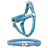 Frisco Outdoor Two Tone Waterproof Stinkproof PVC Harness, River Blue, Medium, Neck: 16 to 22-in, Girth: 19 to 29-in + Dog Collar, River Blue, Medium - Neck: 14½-20-in, Width: 3/4-in