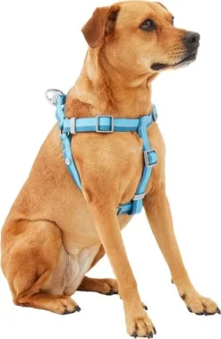 Frisco Outdoor Two Tone Waterproof Stinkproof PVC Harness, River Blue,Extra Large, Neck: 22 to 33-in, Girth: 32 to 44-in + Outdoor Two Tone Waterproof Stinkproof PVC Harness, River Blue, Large, Neck: 19 to 27-in, Girth: 23 to 36-in 10 Frisco Outdoor Two Tone Waterproof Stinkproof PVC Harness, River Blue,Extra Large, Neck: 22 to 33-in, Girth: 32 to 44-in + Outdoor Two Tone Waterproof Stinkproof PVC Harness, River Blue, Large, Neck: 19 to 27-in, Girth: 23 to 36-in -FRISCO Sales 319396 PT2. SY630 V1630624884