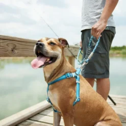 Frisco Outdoor Two Tone Waterproof Stinkproof PVC Harness, River Blue,Extra Large, Neck: 22 to 33-in, Girth: 32 to 44-in + Outdoor Two Tone Waterproof Stinkproof PVC Harness, River Blue, Large, Neck: 19 to 27-in, Girth: 23 to 36-in 13 Frisco Outdoor Two Tone Waterproof Stinkproof PVC Harness, River Blue,Extra Large, Neck: 22 to 33-in, Girth: 32 to 44-in + Outdoor Two Tone Waterproof Stinkproof PVC Harness, River Blue, Large, Neck: 19 to 27-in, Girth: 23 to 36-in -FRISCO Sales 319396 PT5. SY630 V1630622785