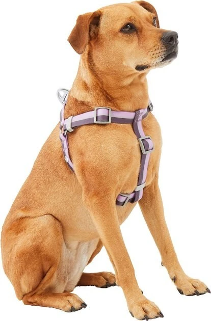 Frisco Outdoor Two Tone Waterproof Stinkproof PVC Harness, Shadow Purple, Medium, Neck: 16 to 22-in, Girth: 19 to 29-in + Dog Collar, Boysenberry Purple, Medium - Neck: 14½-20-in, Width: 3/4-in 5 Frisco Outdoor Two Tone Waterproof Stinkproof PVC Harness, Shadow Purple, Medium, Neck: 16 to 22-in, Girth: 19 to 29-in + Dog Collar, Boysenberry Purple, Medium - Neck: 14½-20-in, Width: 3/4-in - Image 3