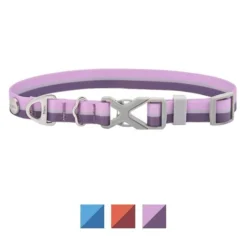 Frisco Outdoor Two Tone Waterproof Stinkproof PVC Harness, Shadow Purple, Medium, Neck: 16 to 22-in, Girth: 19 to 29-in + Dog Collar, Boysenberry Purple, Medium - Neck: 14½-20-in, Width: 3/4-in 16 Frisco Outdoor Two Tone Waterproof Stinkproof PVC Harness, Shadow Purple, Medium, Neck: 16 to 22-in, Girth: 19 to 29-in + Dog Collar, Boysenberry Purple, Medium - Neck: 14½-20-in, Width: 3/4-in -FRISCO Sales 319402 PT5. SY630 V1631160085