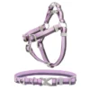 Frisco Outdoor Two Tone Waterproof Stinkproof PVC Harness, Shadow Purple, Small, Neck: 14 to 19-in, Girth: 16 to 23-in + Dog Collar, Boysenberry Purple, Small - Neck: 10½-14-in, Width: 5/8-in -FRISCO Sales 319404 MAIN. SY630 V1631147770