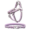 Frisco Outdoor Two Tone Waterproof Stinkproof PVC Harness, Shadow Purple,Extra Large, Neck: 22 to 33-in, Girth: 32 to 44-in + Dog Collar, Boysenberry Purple, Large, Neck: 18 ½- 26-in, Width: 1-in