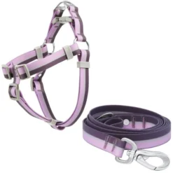 Frisco Outdoor Two Tone Waterproof Stinkproof PVC Harness, Shadow Purple,Extra Large, Neck: 22 to 33-in, Girth: 32 to 44-in + Dog Leash, Boysenberry Purple, Large - Length: 6-ft, Width: 1-in