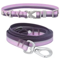 Frisco Outdoor Two Toned Waterproof Stink Proof PVC Collar, Boysenberry Purple, Large, Neck: 18 ½ 26-in, Width: 1-in + Dog Leash, Boysenberry Purple, Large - Length: 6-ft, Width: 1-in