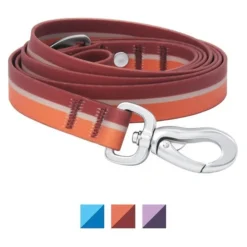Frisco Outdoor Two Toned Waterproof Stink Proof PVC Collar, Flamepoint Orange, Medium - Neck: 14½20-in, Width: 3/4-in + Dog Leash, Sunset Orange, Medium - Length: 6-ft, Width: 3/4-in 15 Frisco Outdoor Two Toned Waterproof Stink Proof PVC Collar, Flamepoint Orange, Medium - Neck: 14½20-in, Width: 3/4-in + Dog Leash, Sunset Orange, Medium - Length: 6-ft, Width: 3/4-in -FRISCO Sales 319422 PT5. SY630 V1631152300