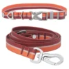 Frisco Outdoor Two Toned Waterproof Stink Proof PVC Collar, Flamepoint Orange, Small - Neck: 10½14-in, Width: 5/8-in + Dog Leash, Sunset Orange, Small - Length: 6-ft, Width: 5/8-in 2 Frisco Outdoor Two Toned Waterproof Stink Proof PVC Collar, Flamepoint Orange, Small - Neck: 10½14-in, Width: 5/8-in + Dog Leash, Sunset Orange, Small - Length: 6-ft, Width: 5/8-in -FRISCO Sales 319424 MAIN. SY630 V1631143270