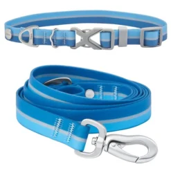 Frisco Outdoor Two Toned Waterproof Stink Proof PVC Collar, River Blue, Medium - Neck: 14½20-in, Width: 3/4-in + Dog Leash, River Blue, Medium - Length: 6-ft, Width: 3/4-in