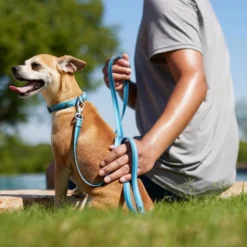 Frisco Outdoor Two Toned Waterproof Stink Proof PVC Collar, River Blue, Medium - Neck: 14½20-in, Width: 3/4-in + Dog Leash, River Blue, Medium - Length: 6-ft, Width: 3/4-in 17 Frisco Outdoor Two Toned Waterproof Stink Proof PVC Collar, River Blue, Medium - Neck: 14½20-in, Width: 3/4-in + Dog Leash, River Blue, Medium - Length: 6-ft, Width: 3/4-in -FRISCO Sales 319430 PT7. SY630 V1631155576