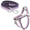 Frisco Outdoor Two Toned Waterproof Stink Proof PVC Leash, Boysenberry Purple, Large - Length: 6-ft, Width: 1-in + Dog Harness, Shadow Purple, Large, Neck: 19 to 27-in, Girth: 23 to 36-in -FRISCO Sales 319434 MAIN. SY630 V1631142076