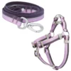 Frisco Outdoor Two Toned Waterproof Stink Proof PVC Leash, Boysenberry Purple, Medium - Length: 6-ft, Width: 3/4-in + Dog Harness, Shadow Purple, Medium, Neck: 16 to 22-in, Girth: 19 to 29-in -FRISCO Sales 319436 MAIN. SY630 V1631139419