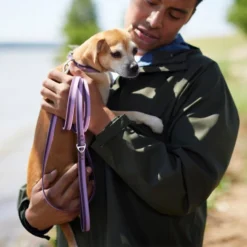 Frisco Outdoor Two Toned Waterproof Stink Proof PVC Leash, Boysenberry Purple, Small - Length: 6-ft, Width: 5/8-in + Dog Harness, Shadow Purple, Small, Neck: 14 to 19-in, Girth: 16 to 23-in -FRISCO Sales 319438 PT3. SY630 V1631147492
