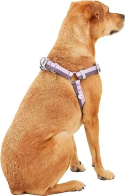 Frisco Outdoor Two Toned Waterproof Stink Proof PVC Leash, Boysenberry Purple, Small - Length: 6-ft, Width: 5/8-in + Dog Harness, Shadow Purple, Small, Neck: 14 to 19-in, Girth: 16 to 23-in -FRISCO Sales 319438 PT6. SY630 V1631157074