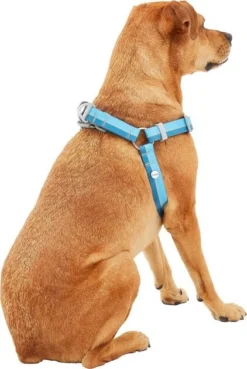 Frisco Outdoor Two Toned Waterproof Stink Proof PVC Leash, River Blue, Large - Length: 6-ft, Width: 1-in + Dog Harness, River Blue, Large, Neck: 19 to 27-in, Girth: 23 to 36-in -FRISCO Sales 319440 PT6. SY630 V1631154094