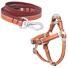 Frisco Outdoor Two Toned Waterproof Stink Proof PVC Leash, Sunset Orange, Medium - Length: 6-ft, Width: 3/4-in + Dog Harness, Flamepoint Orange, Medium, Neck: 16 to 22-in, Girth: 19 to 29-in -FRISCO Sales 319448 MAIN. SY630 V1631151398