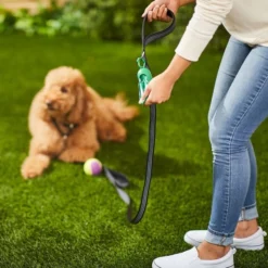 Frisco Traffic Leash with Padded Handles & Poop Bag Dispenser, Black, Length: 4-ft, Width: 1-in + Refill Dog Poop Bags, Scented, 120 count 15 Frisco Traffic Leash with Padded Handles & Poop Bag Dispenser, Black, Length: 4-ft, Width: 1-in + Refill Dog Poop Bags, Scented, 120 count -FRISCO Sales 319510 PT4. SY630 V1630629373