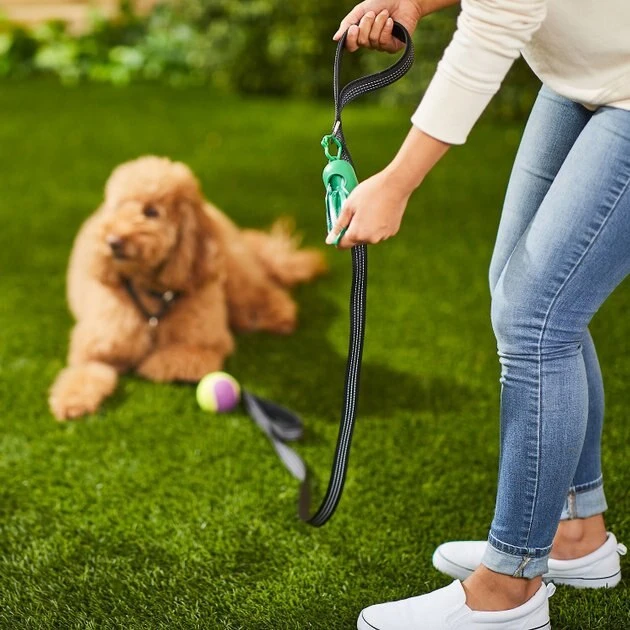 Frisco Traffic Leash with Padded Handles & Poop Bag Dispenser, Black, Length: 4-ft, Width: 1-in + Refill Dog Poop Bags, Scented, 120 count 7 Frisco Traffic Leash with Padded Handles & Poop Bag Dispenser, Black, Length: 4-ft, Width: 1-in + Refill Dog Poop Bags, Scented, 120 count - Image 5