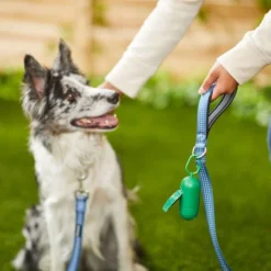 Frisco Traffic Leash with Padded Handles & Poop Bag Dispenser, Blue, Length: 4-ft, Width: 1-in + Refill Dog Poop Bags, Scented, 120 count -FRISCO Sales 319514 PT4. SY630 V1630628822