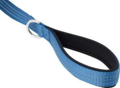 Frisco Traffic Leash with Padded Handles & Poop Bag Dispenser, Blue, Length: 6ft, Width: 1-in + Refill Dog Poop Bags, Scented, 120 count -FRISCO Sales 319516 PT3. SY630 V1630621270