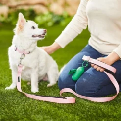 Frisco Traffic Leash with Padded Handles & Poop Bag Dispenser, Pink, Length: 4-ft, Width: 1-in + Refill Dog Poop Bags, Scented, 120 count 15 Frisco Traffic Leash with Padded Handles & Poop Bag Dispenser, Pink, Length: 4-ft, Width: 1-in + Refill Dog Poop Bags, Scented, 120 count -FRISCO Sales 319518 PT4. SY630 V1630617099