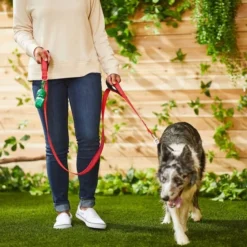 Frisco Traffic Leash with Padded Handles & Poop Bag Dispenser, Red, Length: 4-ft, Width: 1-in + Refill Dog Poop Bags, Scented, 120 count -FRISCO Sales 319522 PT4. SY630 V1630627286