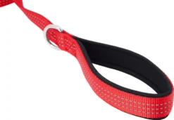 Frisco Traffic Leash with Padded Handles & Poop Bag Dispenser, Red, Length: 6ft, Width: 1-in + Refill Dog Poop Bags, Scented, 120 count 14 Frisco Traffic Leash with Padded Handles & Poop Bag Dispenser, Red, Length: 6ft, Width: 1-in + Refill Dog Poop Bags, Scented, 120 count -FRISCO Sales 319524 PT3. SY630 V1630622767