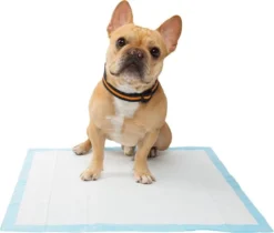 Frisco Training Pad Holder, 24-in x 24-in + Dog Training & Potty Pads, 22 x 23-in, 100 count, Unscented -FRISCO Sales 319526 PT8. SY630 V1630628180