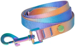 Frisco Purple Ombre Style Dog Leash