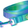 Frisco Green Ombre Style Dog Leash -FRISCO Sales 324518 MAIN. SY630 V1642518227