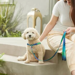 Frisco Green Ombre Style Dog Leash -FRISCO Sales 324518 PT4. SY630 V1642518628