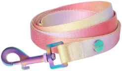 Frisco Pink Ombre Style Dog Leash