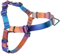 Frisco Purple Ombre Style Dog Harness