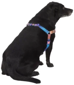 Frisco Purple Ombre Style Dog Harness -FRISCO Sales 324526 PT3. SY630 V1642519104