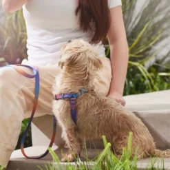 Frisco Purple Ombre Style Dog Harness -FRISCO Sales 324526 PT4. SY630 V1642518470