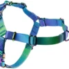 Frisco Green Ombre Style Dog Harness