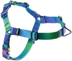 Frisco Green Ombre Style Dog Harness
