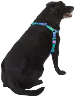 Frisco Green Ombre Style Dog Harness -FRISCO Sales 324531 PT3. SY630 V1642518631