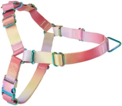 Frisco Pink Ombre Style Dog Harness