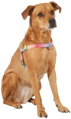 Frisco Pink Ombre Style Dog Harness -FRISCO Sales 324536 PT2. SY630 V1642518223
