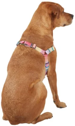 Frisco Pink Ombre Style Dog Harness -FRISCO Sales 324536 PT3. SY630 V1642518755