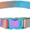 Frisco Purple Ombre Style Dog Collar -FRISCO Sales 324541 MAIN. SY630 V1642518445