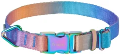 Frisco Purple Ombre Style Dog Collar