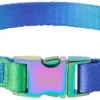 Frisco Green Ombre Style Dog Collar -FRISCO Sales 324546 MAIN. SY630 V1642519605
