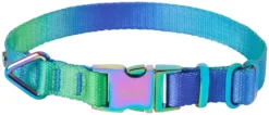 Frisco Green Ombre Style Dog Collar