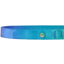 Frisco Green Ombre Style Dog Collar -FRISCO Sales 324546 PT2. SY630 V1642518404