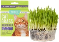 Frisco Natural Cat Grass Growing Kit